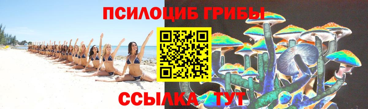 Галлюциногенные грибы мицелий  Галлюциногенные грибы GOLDEN TEACHER  Фрязино  Вход с VPN 